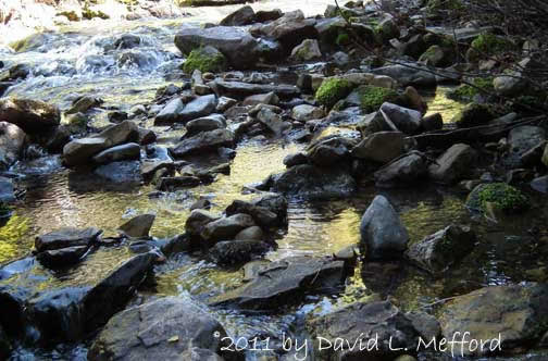 Rocks in American Fork River